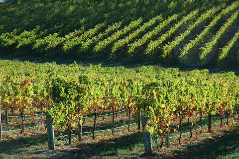 Adelaide Hills Wineries & Hahndorf - Accommodation Kalgoorlie 10