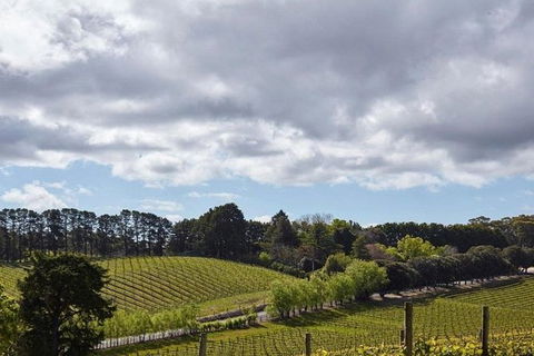 Adelaide Hills Full Day Winery Tour With Tastings - Accommodation Kalgoorlie 4