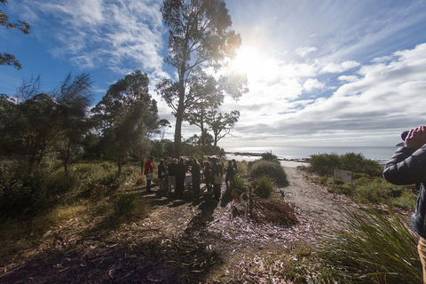 Bruny Island Day Tour, Includes Lunch And Exclusive Lighthouse Tour - Accommodation Kalgoorlie 15