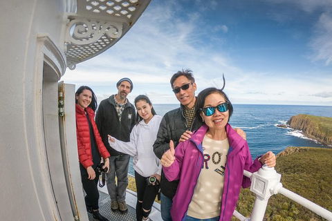Bruny Island Day Tour, Includes Lunch And Exclusive Lighthouse Tour - Accommodation Kalgoorlie 10