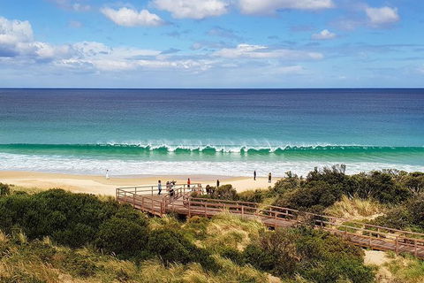 Bruny Island Day Tour, Includes Lunch And Exclusive Lighthouse Tour - Accommodation Kalgoorlie 4