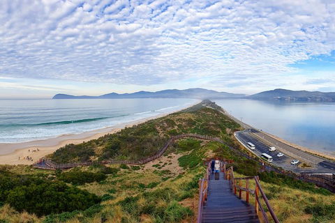 Bruny Island Day Tour, Includes Lunch And Exclusive Lighthouse Tour - Accommodation Kalgoorlie 16