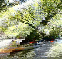 Paddle with the Platypus Twilight Kayak Adventure - Accommodation Kalgoorlie
