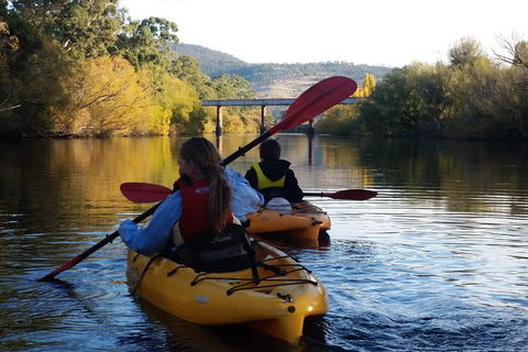 Paddle With The Platypus Twilight Kayak Adventure - Accommodation Kalgoorlie 1