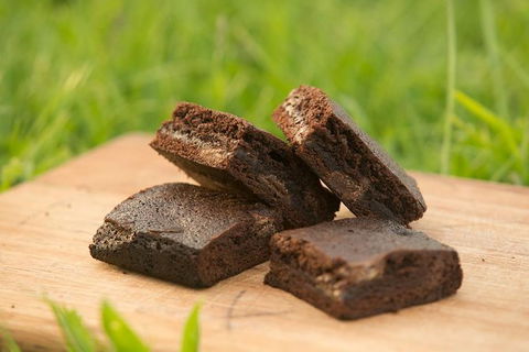 Paddle With The Platypus Twilight Kayak Adventure - Accommodation Kalgoorlie 4