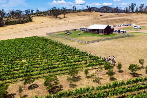 Tasmanian Wine Tour - Accommodation Kalgoorlie 7