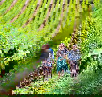 Tasmanian Wine Tour - Accommodation Kalgoorlie