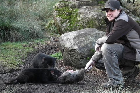 After Dark Tasmanian Devil Feeding Tour At Cradle Mountain - Accommodation Kalgoorlie 0