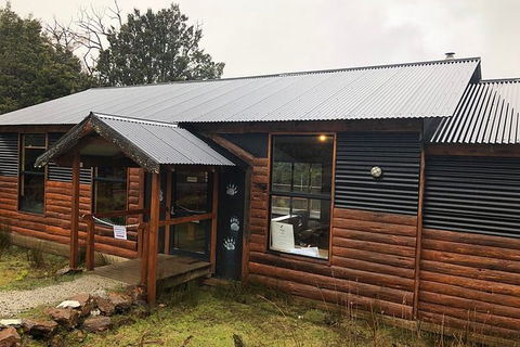 After Dark Tasmanian Devil Feeding Tour At Cradle Mountain - Accommodation Kalgoorlie 6