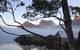 Cradle Mountain Park Explorer - thumb 7