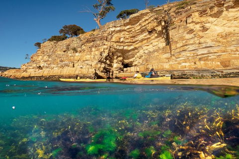 Hobart\'s Cliffs, Caves And Beaches Kayak Tour - Accommodation Kalgoorlie 2