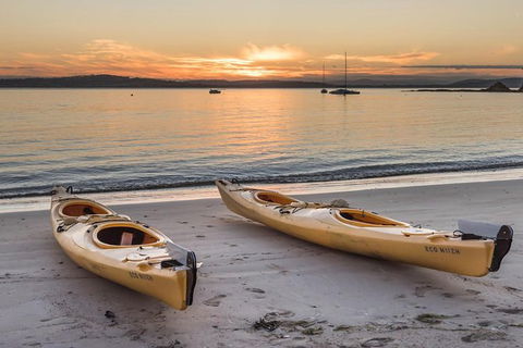 Hobart\'s Cliffs, Caves And Beaches Kayak Tour - Accommodation Kalgoorlie 5