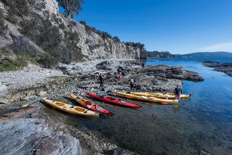 Hobart\'s Cliffs, Caves And Beaches Kayak Tour - Accommodation Kalgoorlie 1