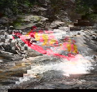 King River White Water Raft Journey from Queenstown with Lunch - Accommodation Kalgoorlie