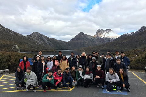 Shore Excursion - Cradle Mountain Day Tour From Burnie - Accommodation Kalgoorlie 4