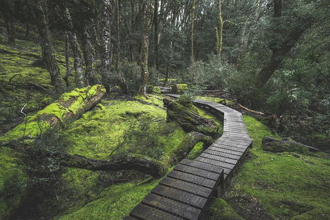 Shore Excursion - Cradle Mountain Day Tour From Burnie - Accommodation Kalgoorlie 2