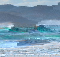 Full Day Tour Hobart East Coast Classic Wine Beach Oysters Seafood  Berries - Accommodation Kalgoorlie