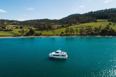 Deep-to-Dish: Tasmanian Seafood Experience - Afternoon Tour - Accommodation Kalgoorlie 8