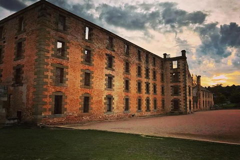 Full Day Tour Hobart: Port Arthur McHenry Gins Bangor Vineyard Wines + Oysters - Accommodation Kalgoorlie 20