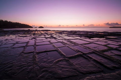 Full Day Tour Hobart: Port Arthur McHenry Gins Bangor Vineyard Wines + Oysters - Accommodation Kalgoorlie 8