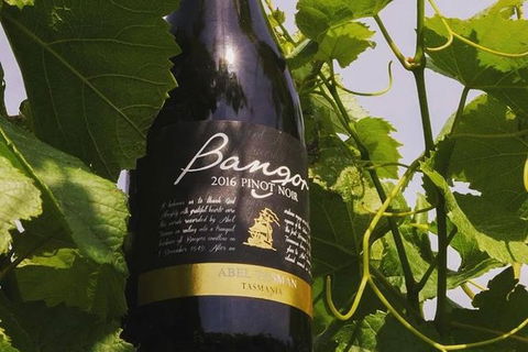 Full Day Tour Hobart: Port Arthur McHenry Gins Bangor Vineyard Wines + Oysters - Accommodation Kalgoorlie 2