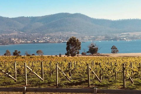 Full Day Tour Hobart: Port Arthur McHenry Gins Bangor Vineyard Wines + Oysters - Accommodation Kalgoorlie 22