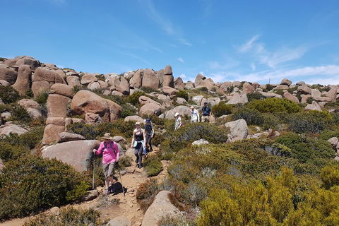 Alpine Loop - Accommodation Kalgoorlie 2