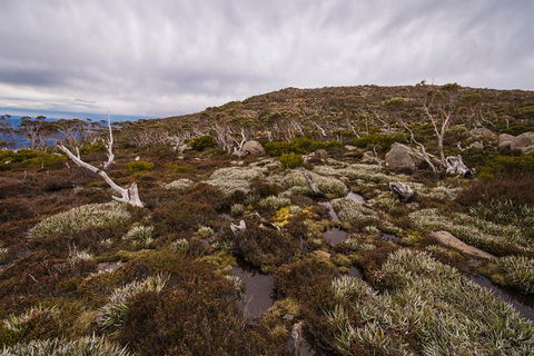 Alpine Loop - Accommodation Kalgoorlie 0