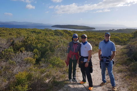 Maria Island And East Coast Five Day Cruise - Accommodation Kalgoorlie 2