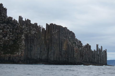 Maria Island And East Coast Five Day Cruise - Accommodation Kalgoorlie 6