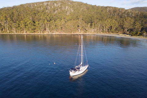 Maria Island And East Coast Five Day Cruise - Accommodation Kalgoorlie 5
