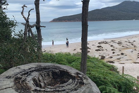 Wineglass Bay Beach Hike - Accommodation Kalgoorlie 15