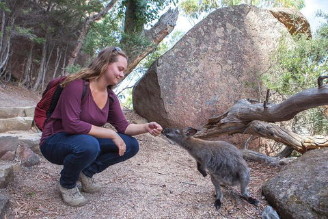 Wineglass Bay Beach Hike - Accommodation Kalgoorlie 25