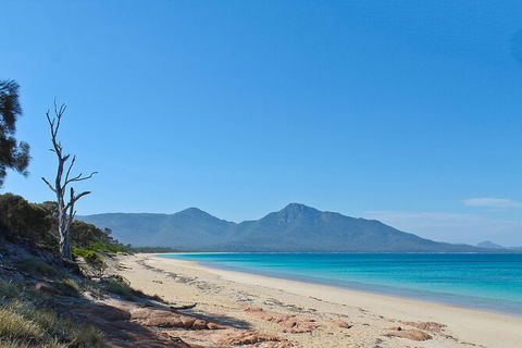 Wineglass Bay Beach Hike - Accommodation Kalgoorlie 1