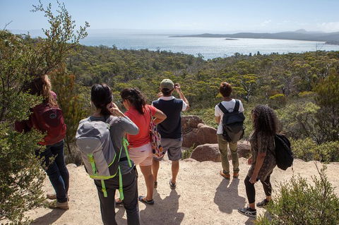 Wineglass Bay Beach Hike - Accommodation Kalgoorlie 7