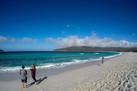 Wineglass Bay Beach Hike - Accommodation Kalgoorlie 18