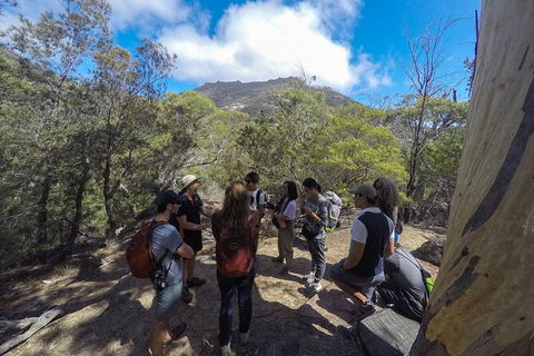 Wineglass Bay Beach Hike - Accommodation Kalgoorlie 3
