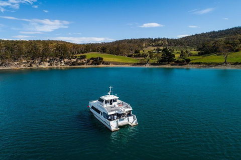 Deep-to-Dish: Tasmanian Seafood Experience - Morning Tour - Accommodation Kalgoorlie 4