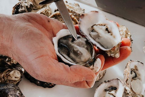 Deep-to-Dish: Tasmanian Seafood Experience - Morning Tour - Accommodation Kalgoorlie 5