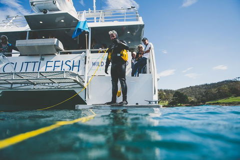 Deep-to-Dish: Tasmanian Seafood Experience - Morning Tour - Accommodation Kalgoorlie 11