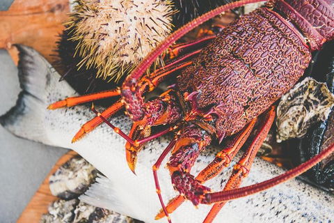 Deep-to-Dish: Tasmanian Seafood Experience - Morning Tour - Accommodation Kalgoorlie 1