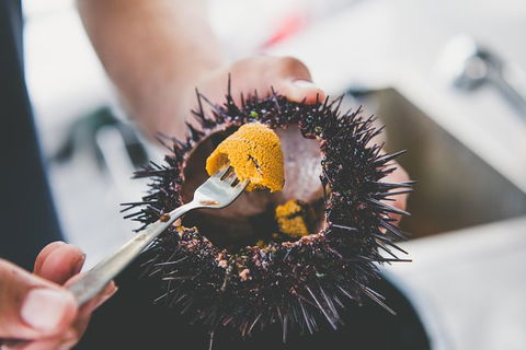 Deep-to-Dish: Tasmanian Seafood Experience - Morning Tour - Accommodation Kalgoorlie 9