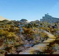 Hartz Mountains premium private photo-oriented day tour from Hobart - Accommodation Kalgoorlie