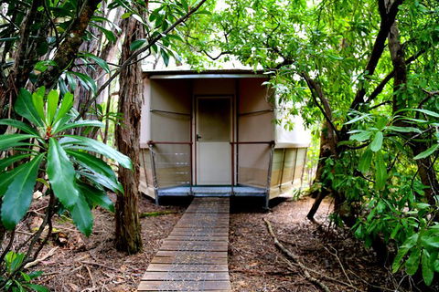 3-Day Southwest National Park Wilderness Camping Tour - Accommodation Kalgoorlie 2