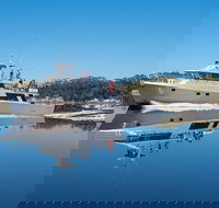 4-Day Cruise Expedition of Southwest Tasmania's World Heritage from Hobart - Accommodation Kalgoorlie