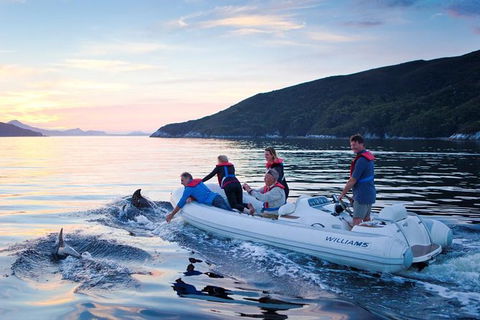 4-Day Cruise Expedition Of Southwest Tasmania\'s World Heritage From Hobart - Accommodation Kalgoorlie 1