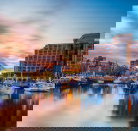 5 Day 4 Night Guided Tasmania Tour - Accommodation Kalgoorlie