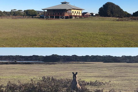 Spend A Day In One Of Tasmania\'s Best Wildlife National Park\'s - Accommodation Kalgoorlie 3