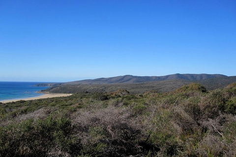Spend A Day In One Of Tasmania\'s Best Wildlife National Park\'s - Accommodation Kalgoorlie 5