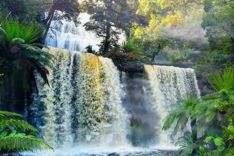 6-Day Tasmania Small-Group Guided Tour With Gourmet Food - Accommodation Kalgoorlie 9